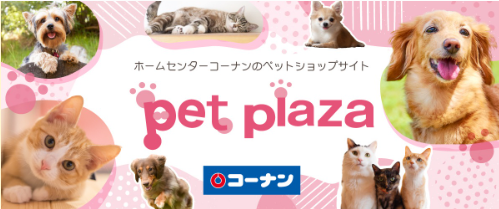 今宿